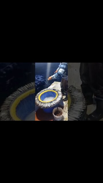 #shorts #2022 funny,prank,funjokes,dad jokes,funny memes,funny video,fun,laughing,funny animal,knock