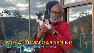 Mid-Autumn Gardening 🍂 🤩🐶