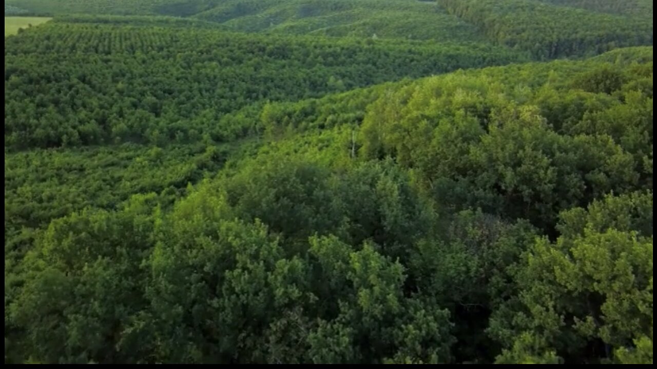 RECORDING NATURE SOUNDS