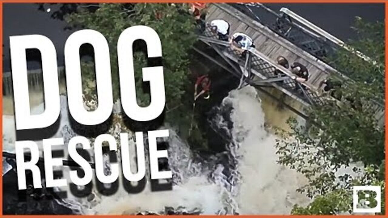 DOG RESCUE! MASSACHUSETTS FIREFIGHTERS RESCUE "MAGGIE" STUCK ON RAPIDS AND ROCKS