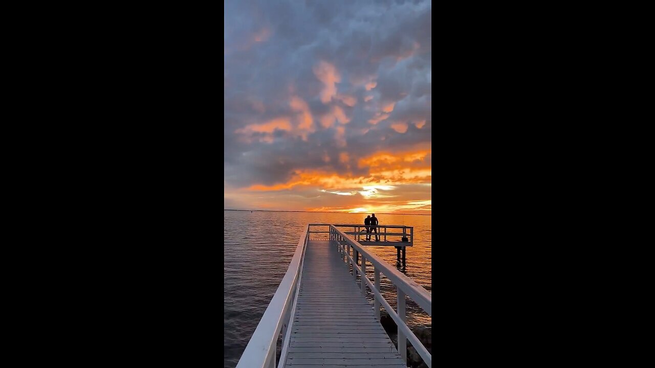 Livestream Highlights PT 3 - Sunset Over Old Tampa Bay #LiveStream #TikTokLive #TampaBay #sunset