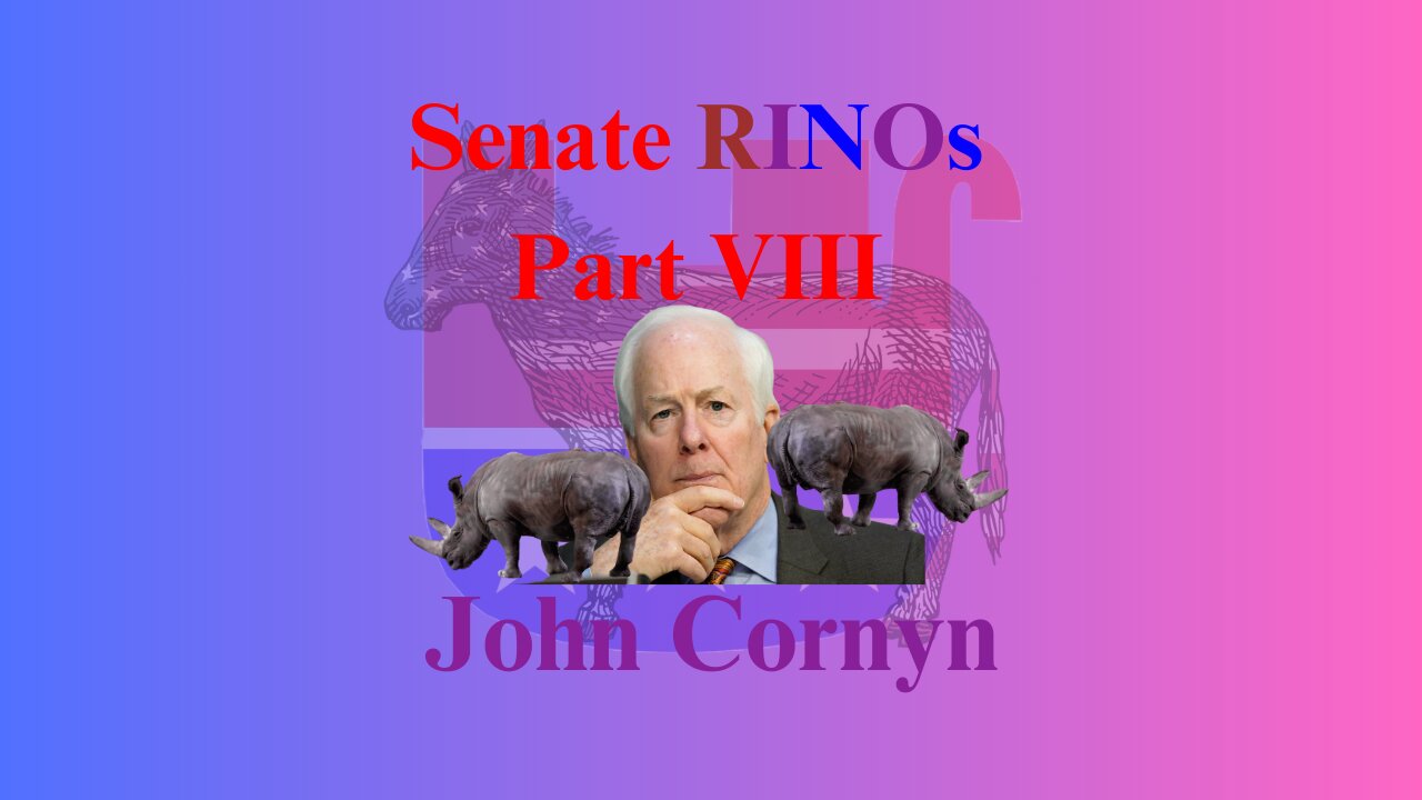 Senate RINOs Part VIII: John Cornyn