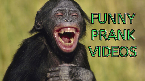 FUNNY PRANK VIDEOS