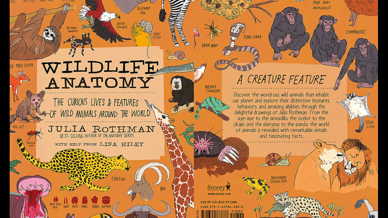 Wildlife Anatomy: The Curious Lives and Features of Wild Animals around the World