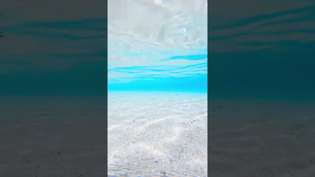 tropical paradise