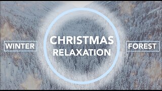 🎄 Christmas Relaxation - Winter Forest - Positive / Calm / Relax /Meditation