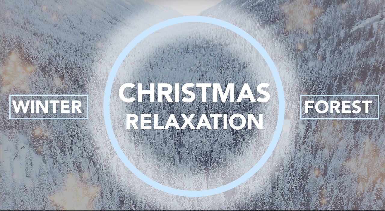 🎄 Christmas Relaxation - Winter Forest - Positive / Calm / Relax /Meditation