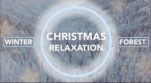 🎄 Christmas Relaxation - Winter Forest - Positive / Calm / Relax /Meditation