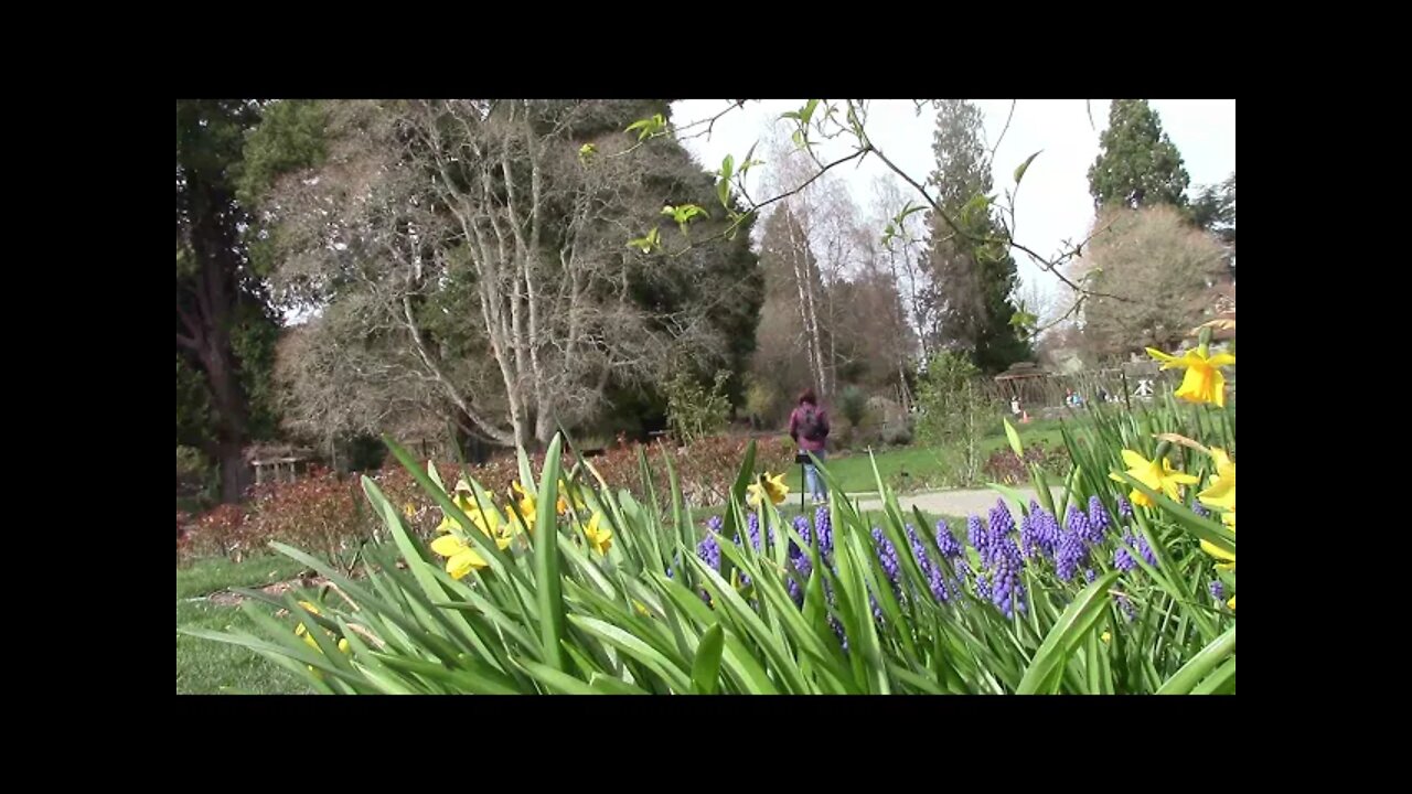 Point Defiance Tacoma Part 1