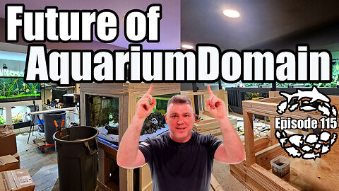 The Future of the AquariumDomain Fish Basement, the Crazy Just Got Crazier!