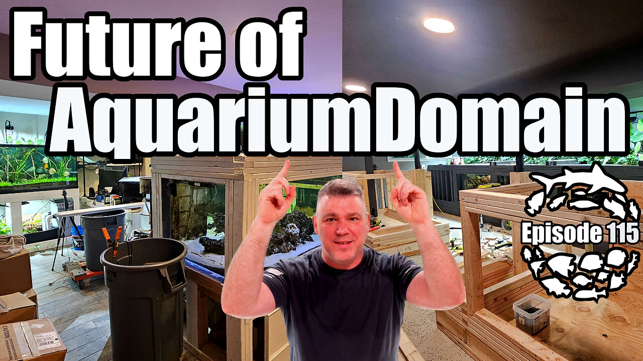 The Future of the AquariumDomain Fish Basement, the Crazy Just Got Crazier!