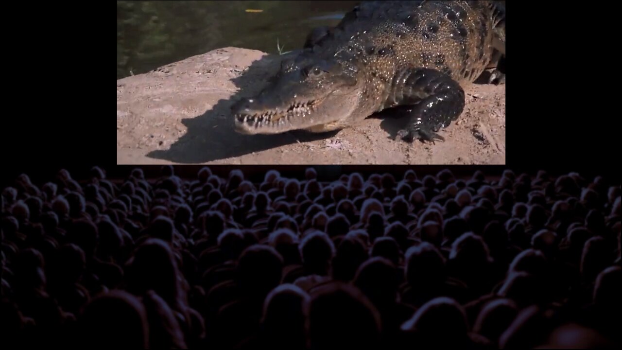 "There are two ways to disable a crocodile" - James Bond 007: Live and Let Die