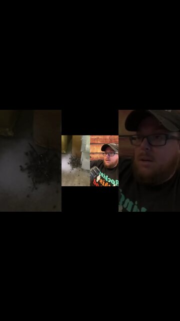 Here’s Your Dose Of REALarious…😳😳😳