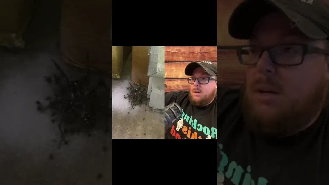 Here’s Your Dose Of REALarious…😳😳😳