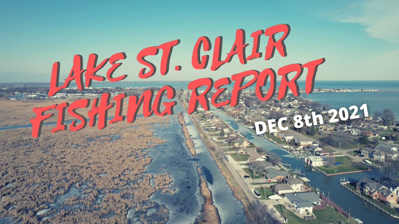 Lake St Clair Michigan Ice and Fishing Report 12-8-21