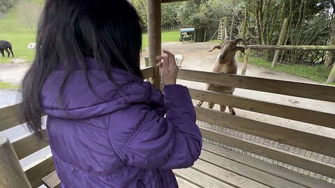 Mom at zoo