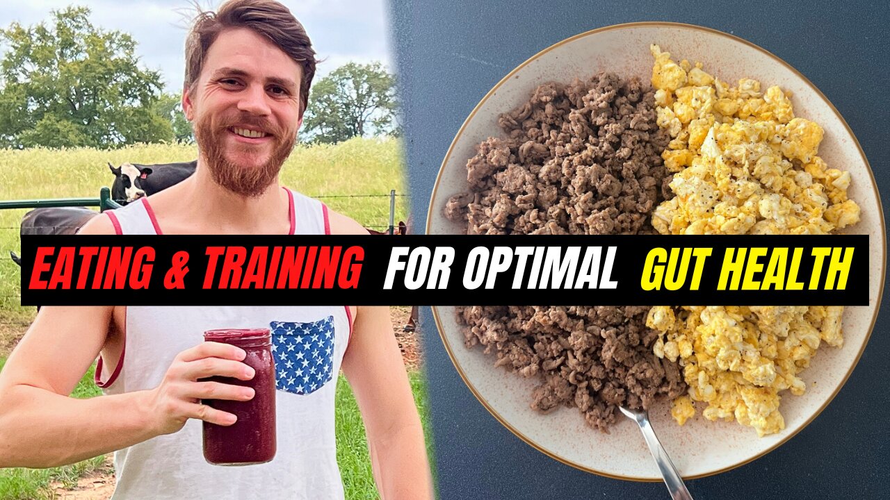 Gut Health Rules | Eating, Training, Grocery Haul, L. Reuteri Yogurt | Leaky Gut, IBD, UC & Crohn's