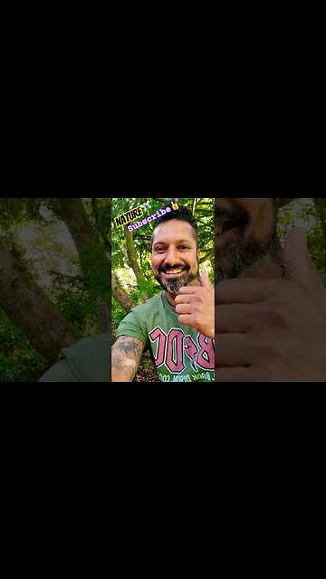 Nature🧚🏼‍♂️ #naturelovers #nature #naturespirit #trees #treeoflife #tree #wildlife #walking #walk