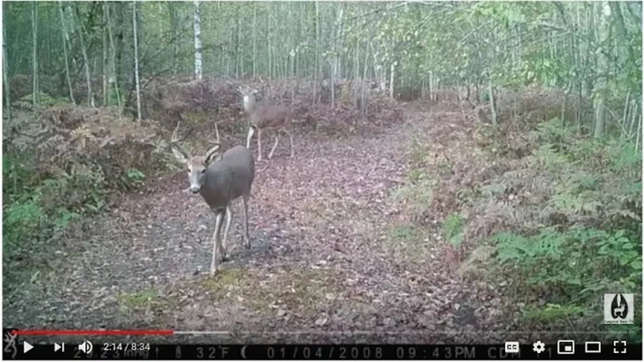 #57 Hunting Season 2019 Half Over Update "Landscaping for Whitetails"