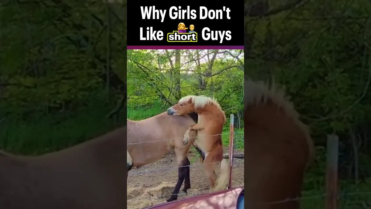 The REAL Reason Girls Don't Like Short Guys