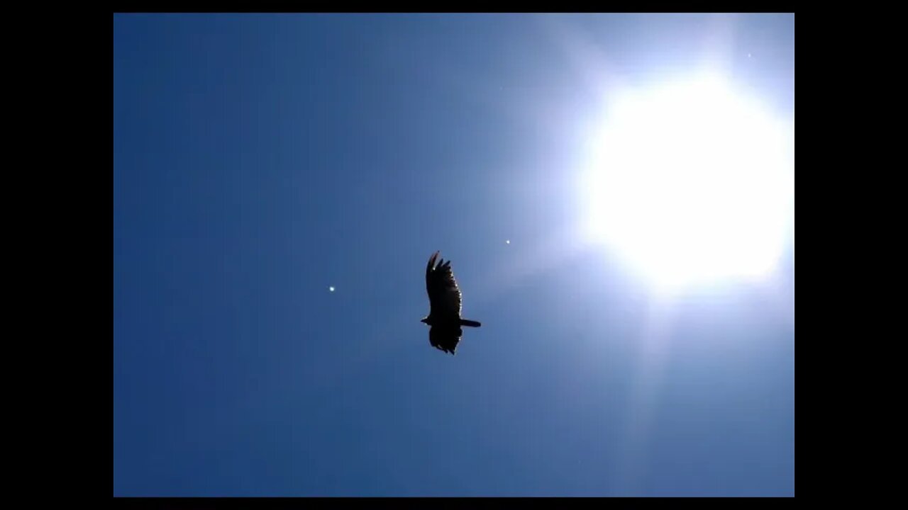 Angel Orb Sky Activity & Got My Lens/Camera Back! (7/23/2021)