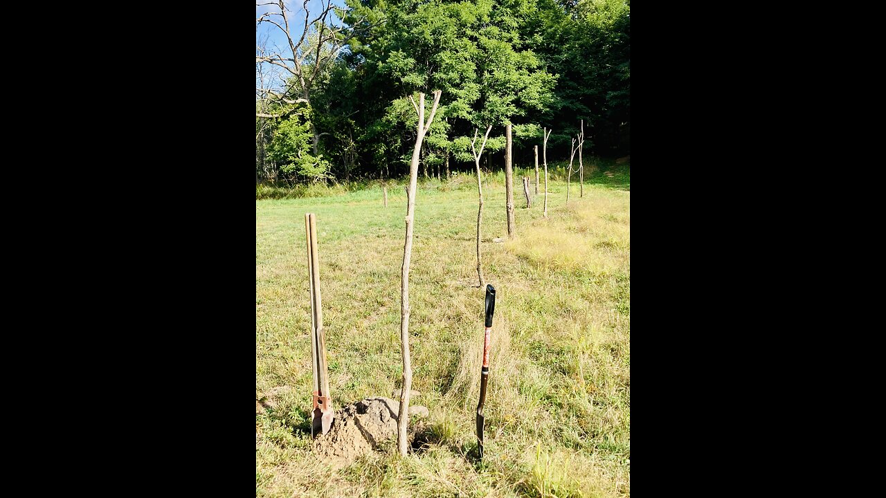 Protecting a wild garden from wildlife