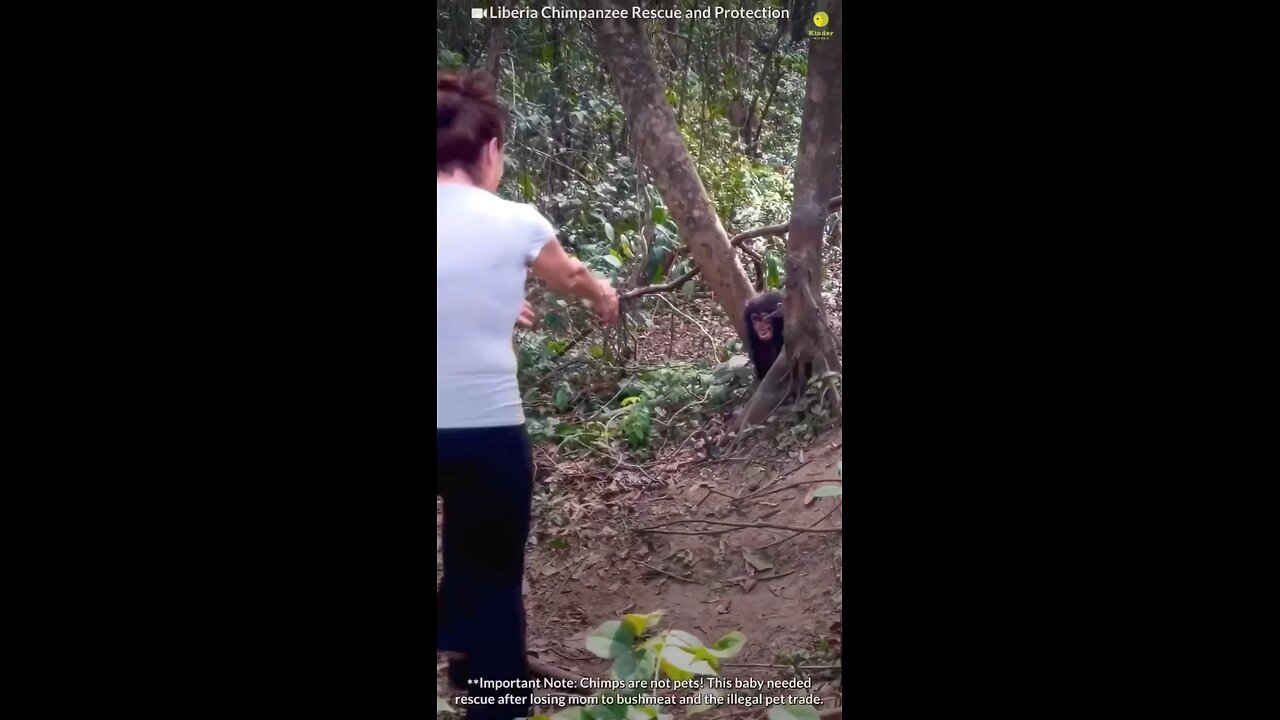 video when animals love u