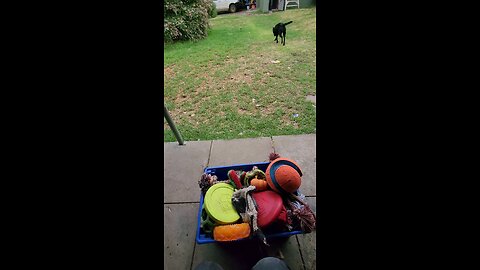 Toy games and flexibility