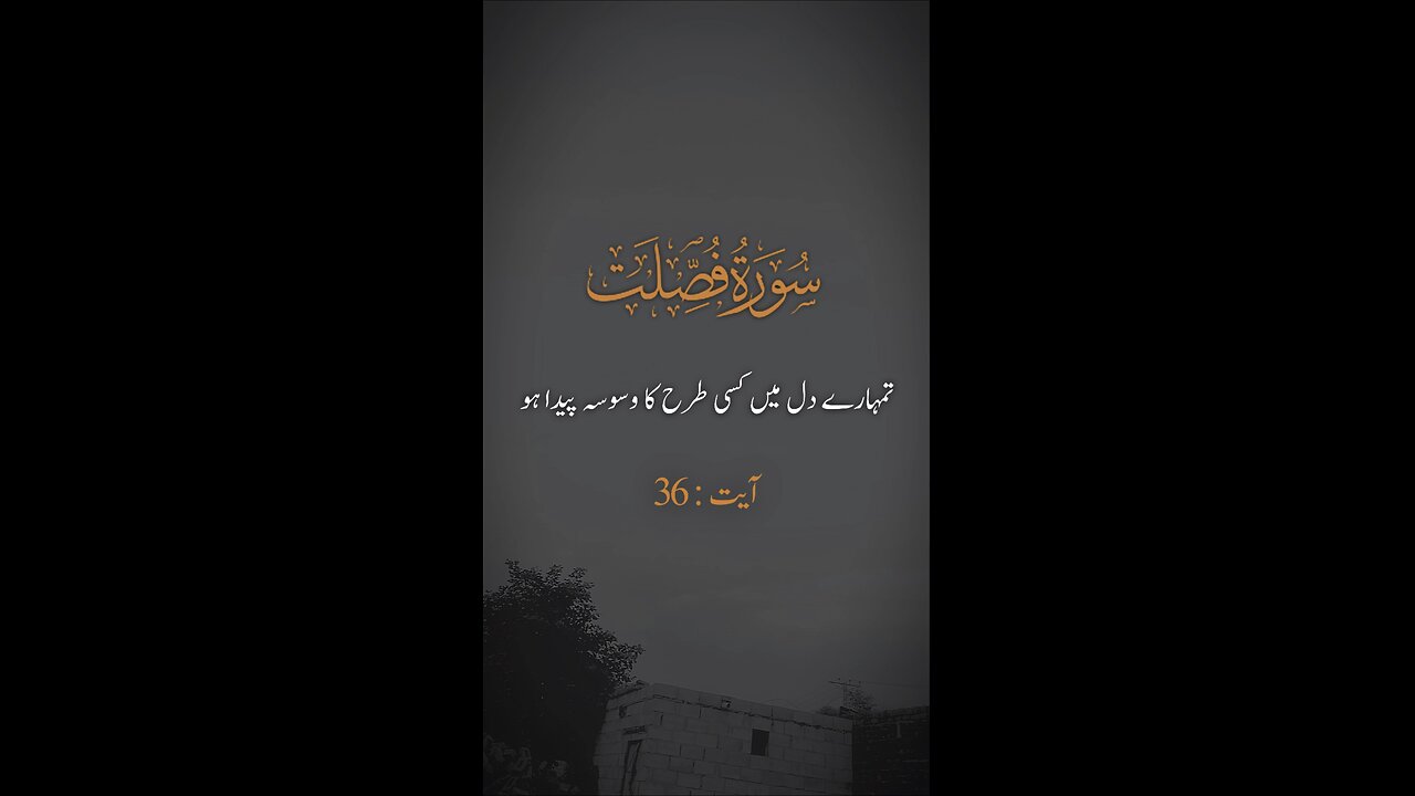 Surah Fusilaat | Urdu Translation Of Quran Surah fusilat #surahfusilat #quran #islam #islamic_vid
