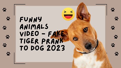 Funny Animals video - Fake Tiger prank to Dog 2023