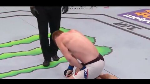 OUCH! Low Blow Heard From Next City. MMA Illegal Low Blow in UFC