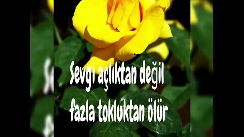 En güzel sözler-10