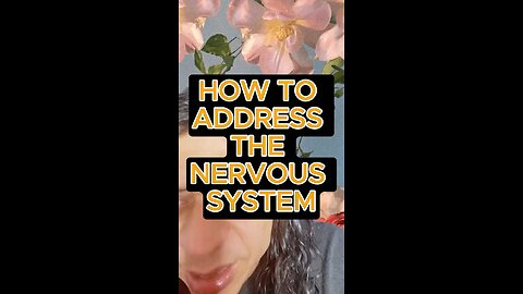 The nervous system 👍