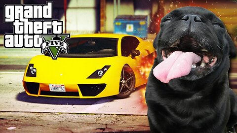 GTA V - Random Moments 18 (Animal Theft Auto!)