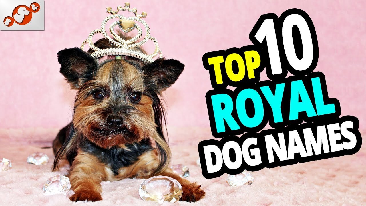 🐕 TOP 10 Royal Dog Names!