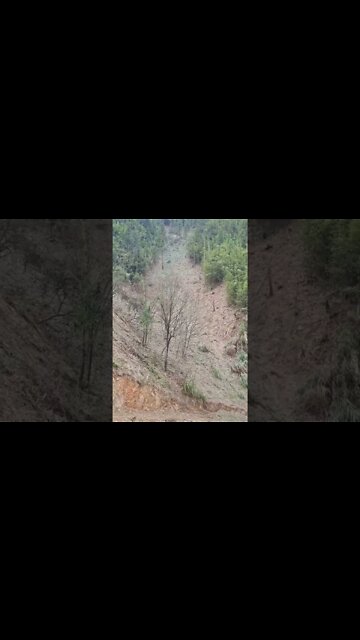 funny|prank|jokes|funny jokes|dad jokes|funny memes|funny video|fun|laughing|funny animal|knock