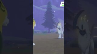 Pokémon Sword - Boltund Used Nuzzle!