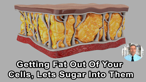 By Getting Fat Out Of Your Cells, It Let's Sugar Get Into Your Cells And You Have A Shot