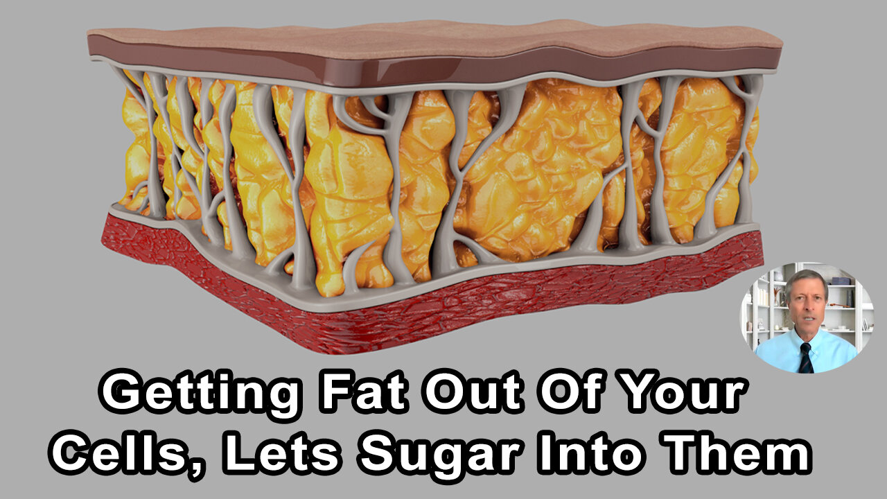 By Getting Fat Out Of Your Cells, It Let's Sugar Get Into Your Cells And You Have A Shot