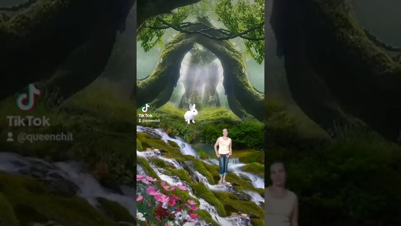 White Rabbit Nature Park