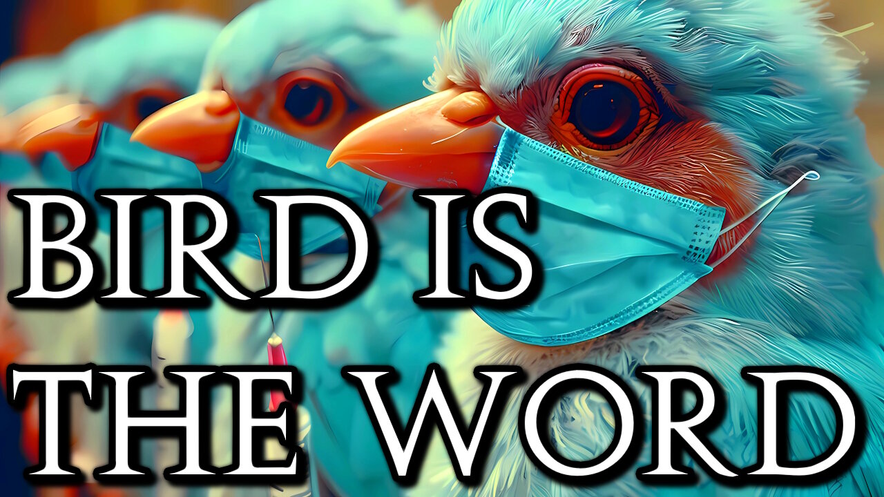 Bird is the Word (H5N1)