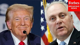 Steve Scalise: GOP Will 'Be Ready To Go Work Day One' To Help Pass The Trump Agenda