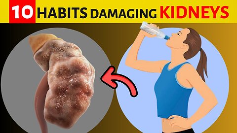 Lifestyle habits damaging the KIDNEY