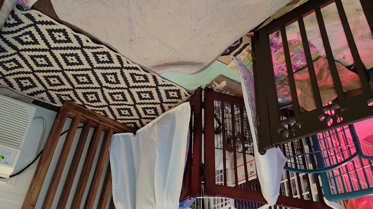 Short Videos Only(1)