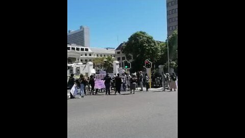 EFF march Parliament part 2 (1)