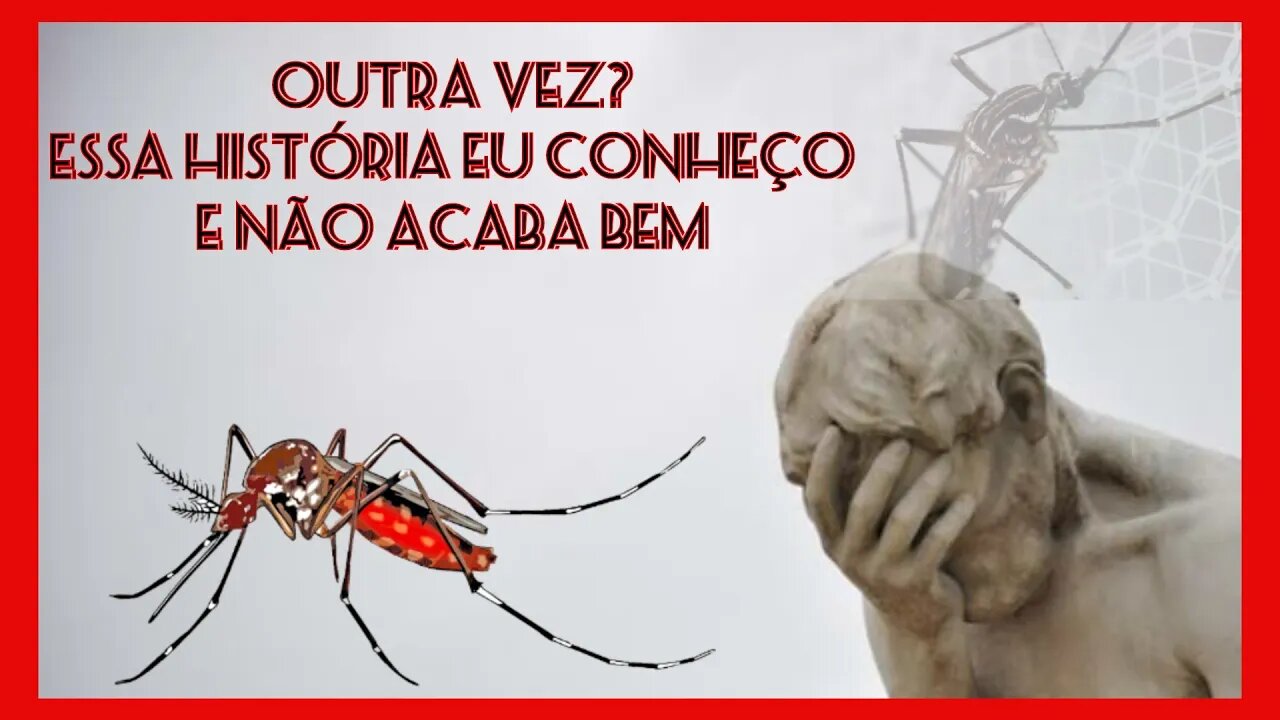Mosquitos modificados!