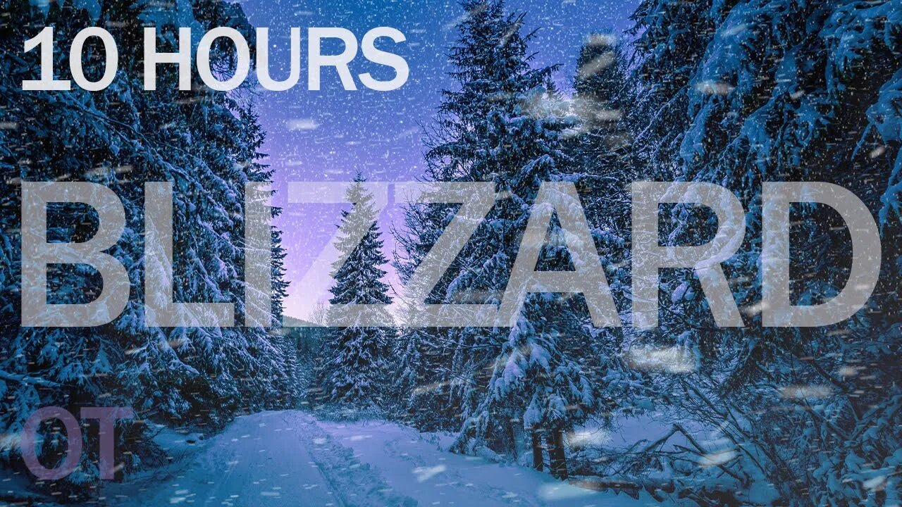 Blizzard Sounds for Sleep, Relaxation & Studying | Snowstorm Sounds in the forest | nature sounds