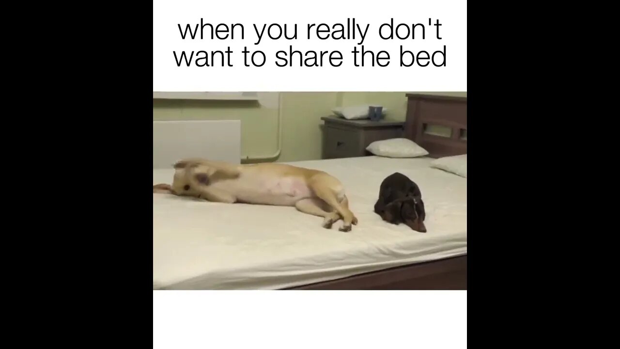 When you don't want to share the bed