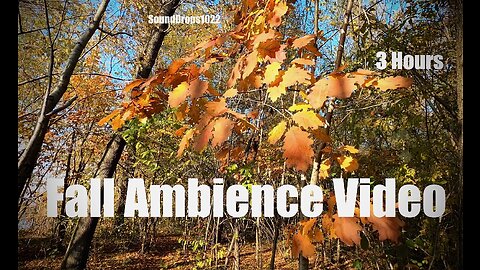 3 Hours of Relaxing Autumn Scenery 🍂