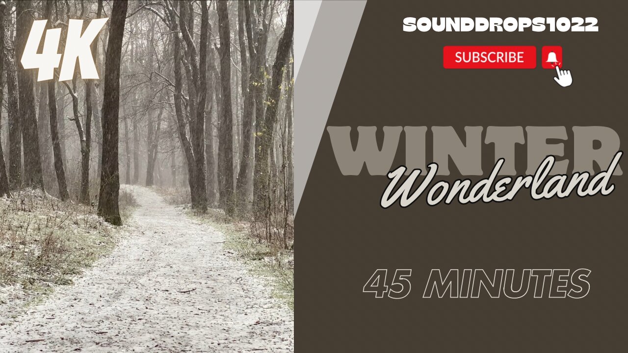 45 Minutes of Snowfall Tranquility - Longer Winter Respite